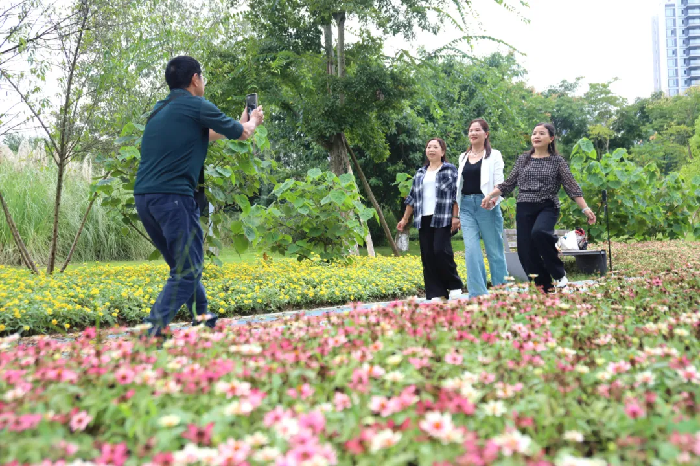 露营、遛娃、赏粉浪……秋游就来龙马潭这里吧！
