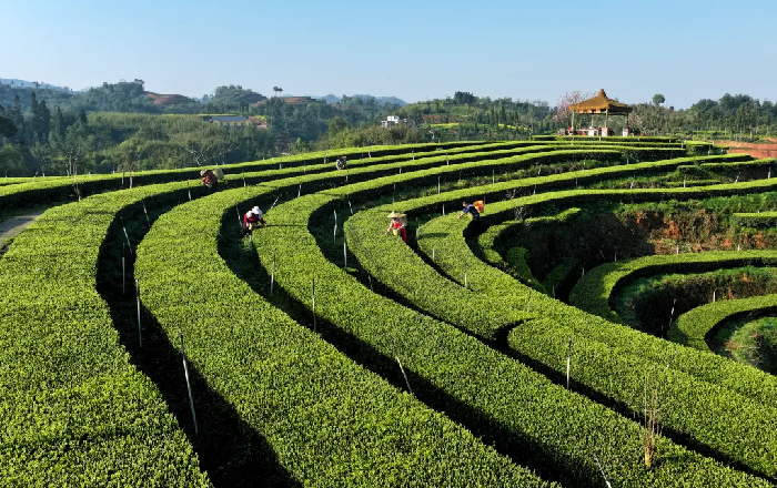 1:6撬动巨资！看纳溪如何用“五好两宜”绘就新时代“富春山居图”