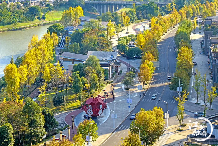 多彩江安 初冬觅“彩”