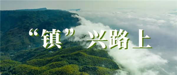 “镇”兴路上｜长宁竹海镇：把生态本底做成产业底气